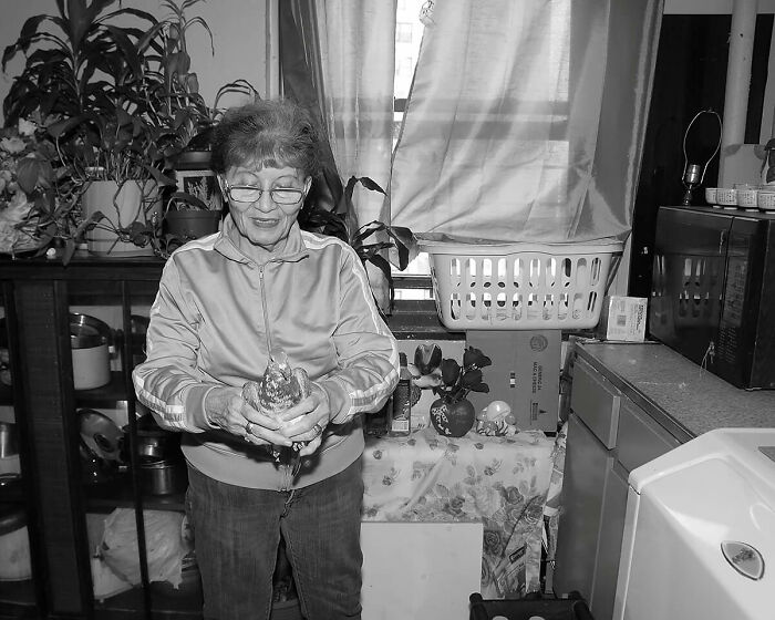 The Bird Lady Of The Projects