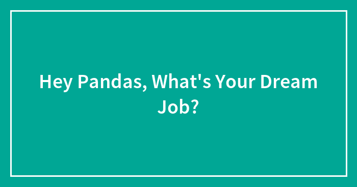 Hey Pandas, What’s Your Dream Job? (Closed)