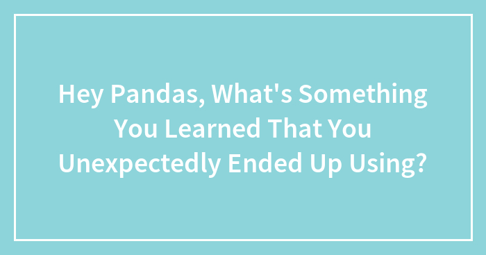 Hey Pandas, What’s Something You Learned That You Unexpectedly Ended Up Using? (Closed)