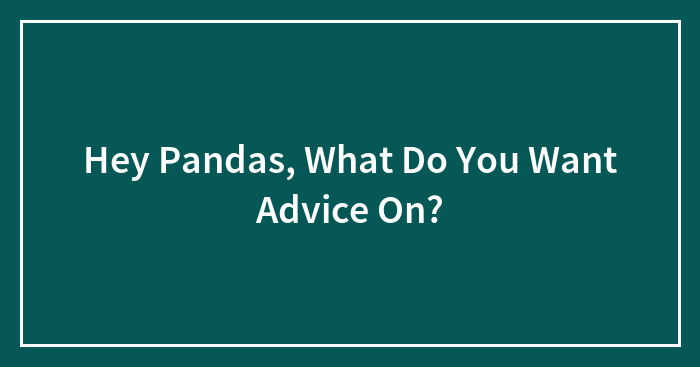 Hey Pandas, What Do You Want Advice On? (Closed)