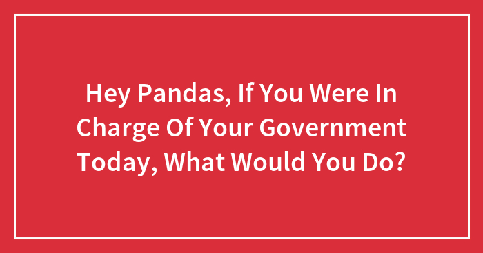 Hey Pandas, If You Were In Charge Of Your Government Today, What Would You Do? (Closed)