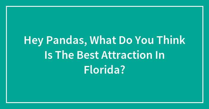 Hey Pandas, What Do You Think Is The Best Attraction In Florida?