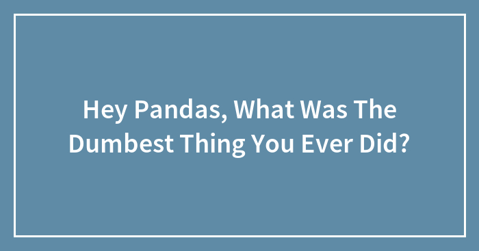 Hey Pandas, What Was The Dumbest Thing You Ever Did? (Closed)
