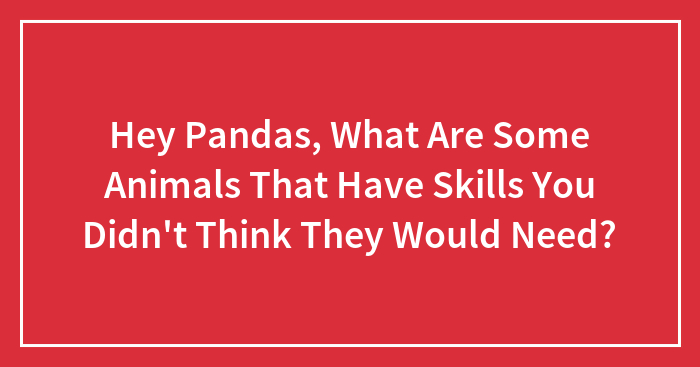 Hey Pandas, What Are Some Animals That Have Skills You Didn’t Think They Would Need? (Closed)