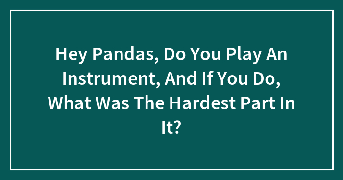 Hey Pandas, Do You Play An Instrument, And If You Do, What Was The Hardest Part In It? (Closed)