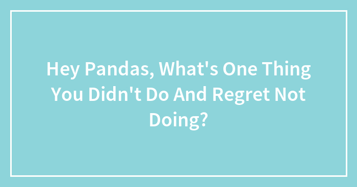 Hey Pandas, What’s One Thing You Didn’t Do And Regret Not Doing?