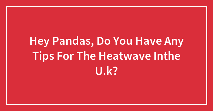 Hey Pandas, Do You Have Any Tips For The Heatwave Inthe U.k? (Closed)