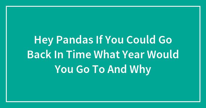 Hey Pandas If You Could Go Back In Time What Year Would You Go To And Why (Closed)