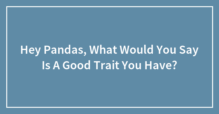 Hey Pandas, What Would You Say Is A Good Trait You Have?