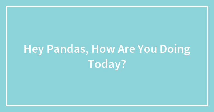 Hey Pandas, How Are You Doing Today?