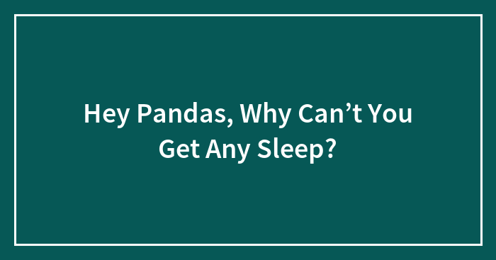 Hey Pandas, Why Can’t You Get Any Sleep? (Closed)