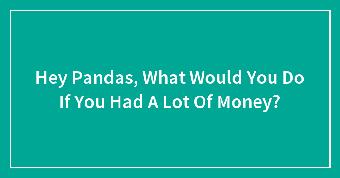 Hey Pandas, What Would You Do If You Had A Lot Of Money? (Closed)