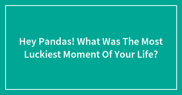 Hey Pandas! What Was The Most Luckiest Moment Of Your Life?