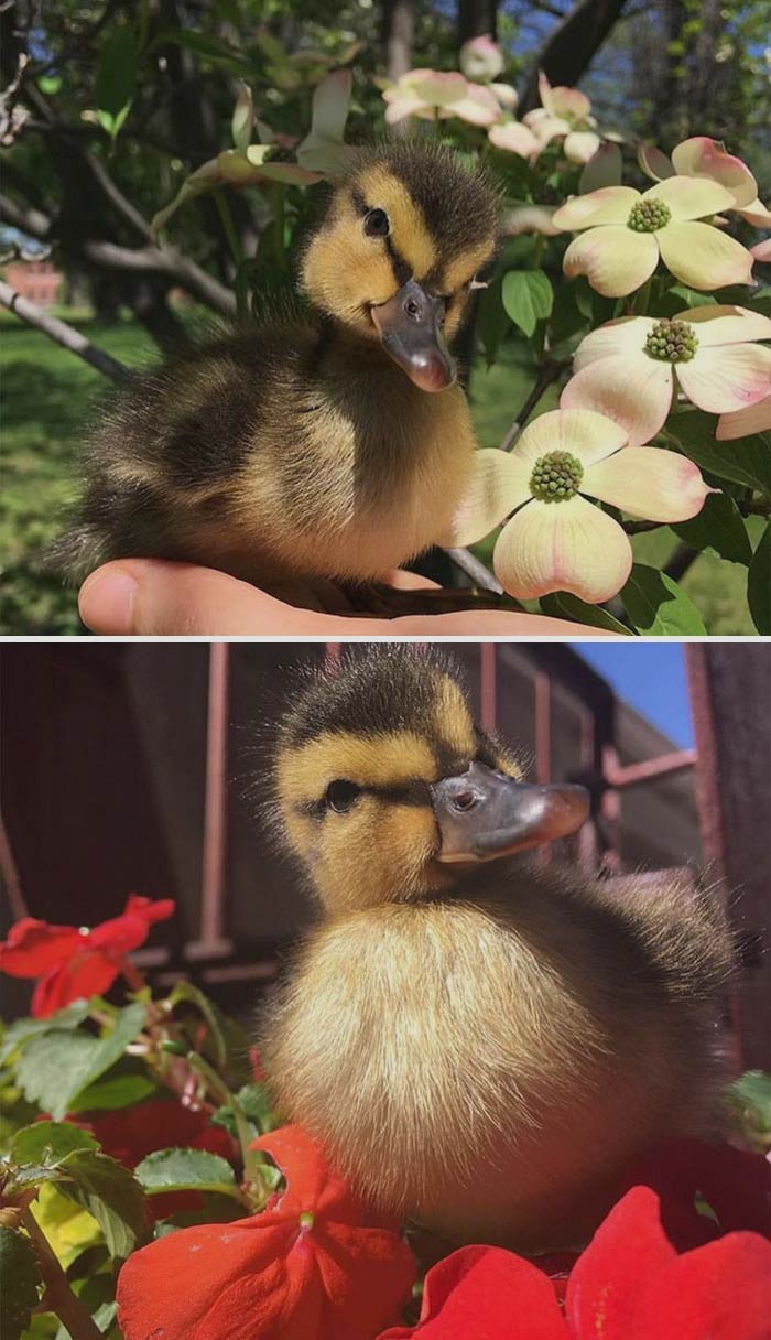 No, No Relation To Bees, Dear. It's Ok, Everyone Asks