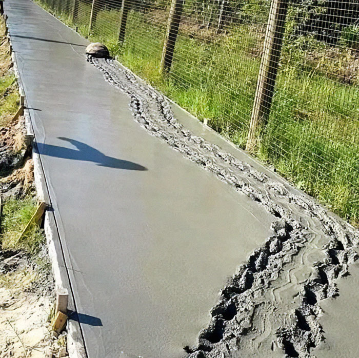 30 Hilariously Goofy Animals To Brighten Up Your Day (New Pics)