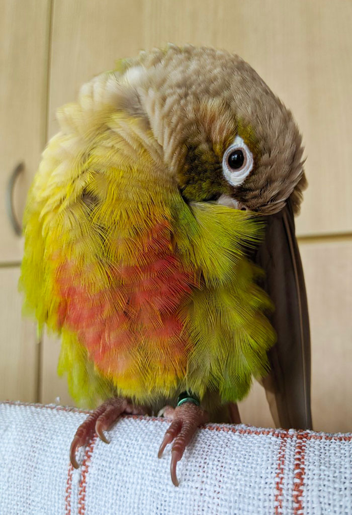 Feeling Cute, Might Delete Later Idk