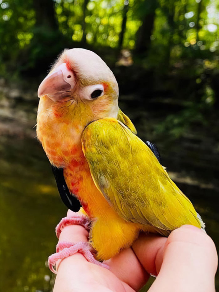 My Beautiful Skittles Is A Show Off When She Wants To Be