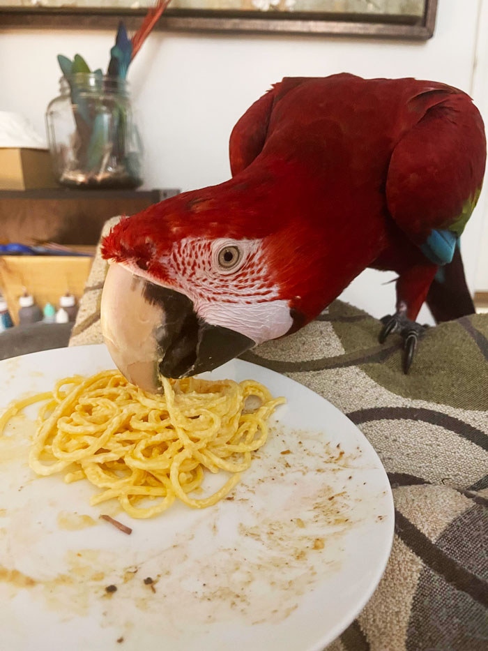 Whenever I Order Out I Have To Order Stuff For My Babies Too