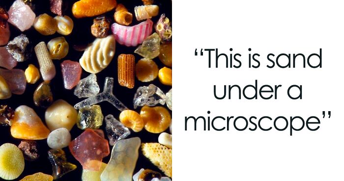 50 Random Facts That Sound Super Weird But Are Totally True, As Shared By This Twitter Account (New Pics)