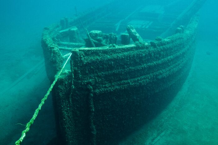 Sunken shipwreck covered in marine growth on the ocean floor showcasing creepy facts about the ocean’s hidden mysteries. - 8