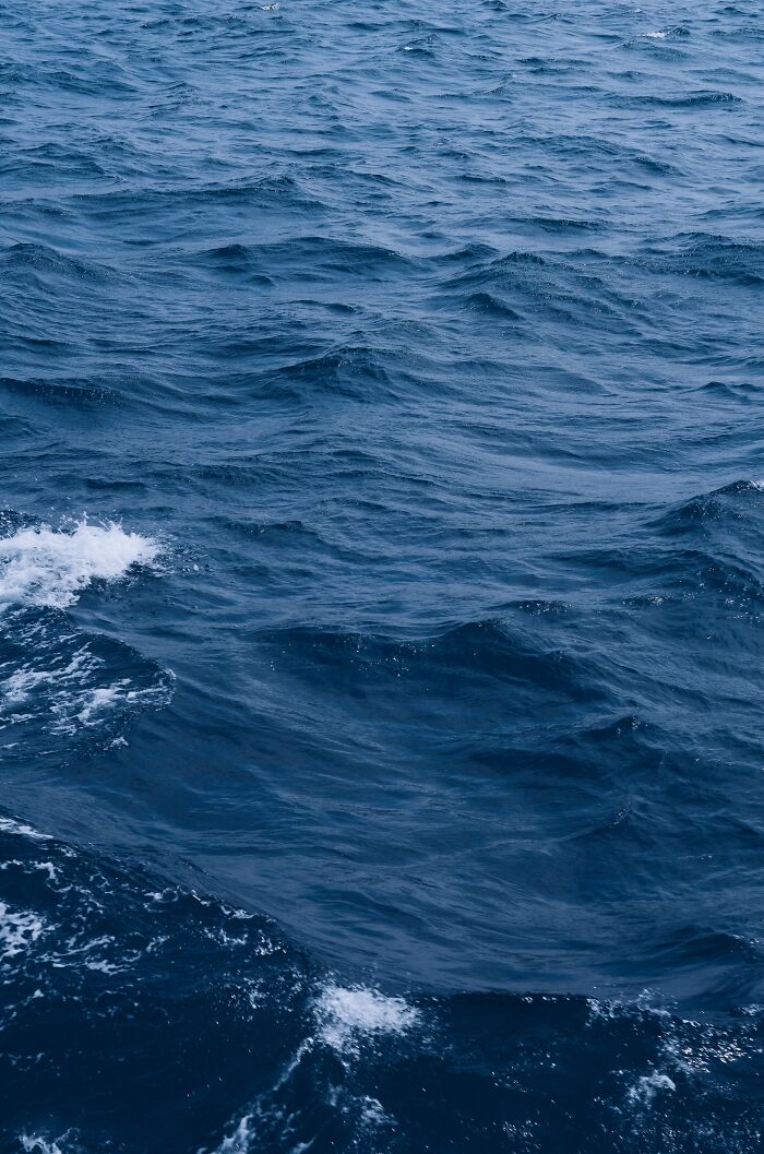Dark blue ocean water with small waves and white foamy crests showing the creepy facts about the ocean surface. - 14
