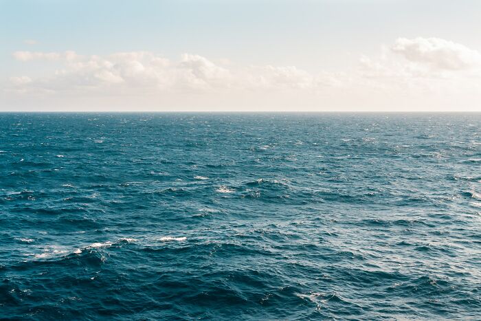 Vast ocean under a cloudy sky, illustrating some of the creepiest facts about the ocean’s mysterious depths. - 28