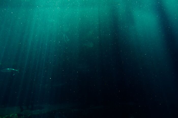 Dark ocean water with faint light rays penetrating deep, illustrating some of the creepiest facts about the ocean depths. - 30