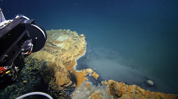 Underwater deep sea exploration vehicle capturing creepy ocean floor formations revealing mysterious marine life and terrain. - 6