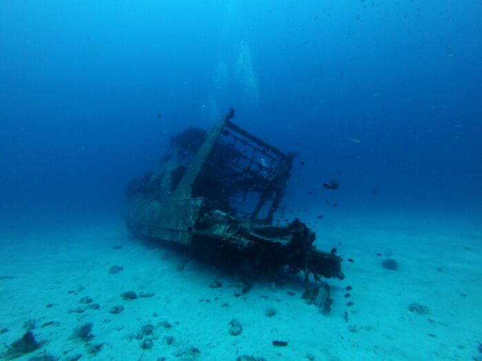Underwater view of a rusted shipwreck on the ocean floor surrounded by small fish, illustrating creepy ocean facts. - 26