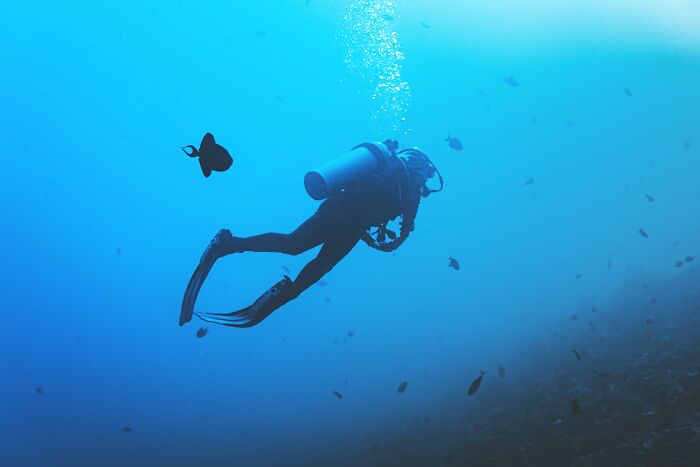 Scuba diver exploring deep ocean waters surrounded by fish, illustrating creepy facts about the ocean depths. - 5