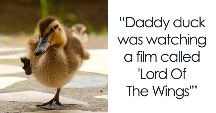 149 Duck Puns That Might Quack You Up