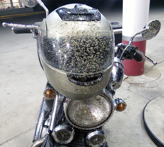 ¿Alguien puede explicarme por qué es una buena idea cualquier cosa que no sea un casco para toda la cara?