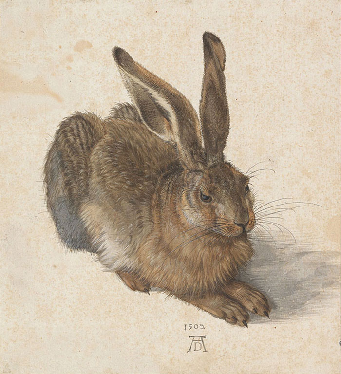 A detailed painting of a hare, showcasing famous art history techniques.
