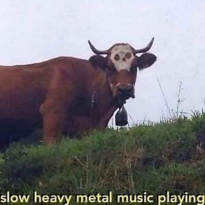 anna-marta-kamien avatar