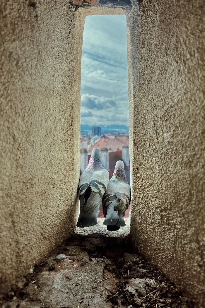 Pictures You Wouldn’t Believe Are Taken With A Smartphone (21 Pics)