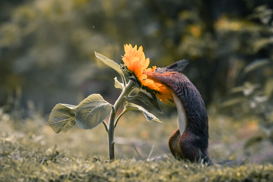 I Worked Together With A Talented Belgian Flower Artist And These Are My 15 Best Shots