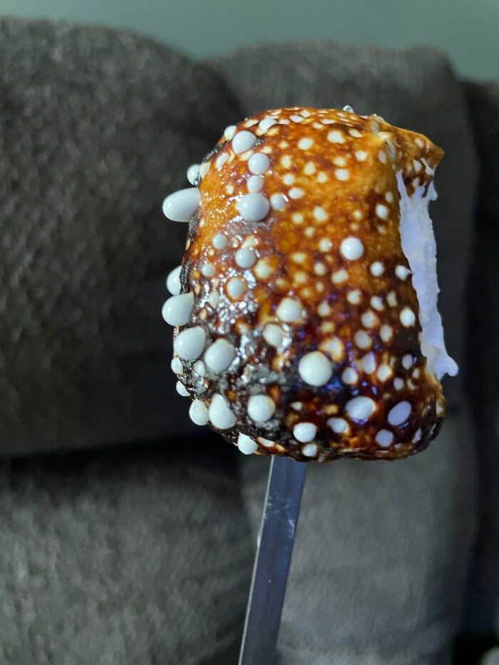 I Reroasted My Marshmallow Because I Wanted More Crusty Bits