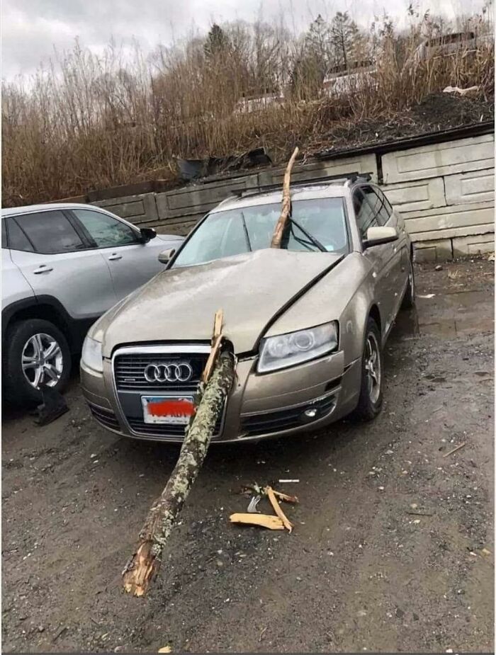 Damaged Audi with large tree trunk impaled through hood and windshield, example of bad drivers shared in Facebook group.