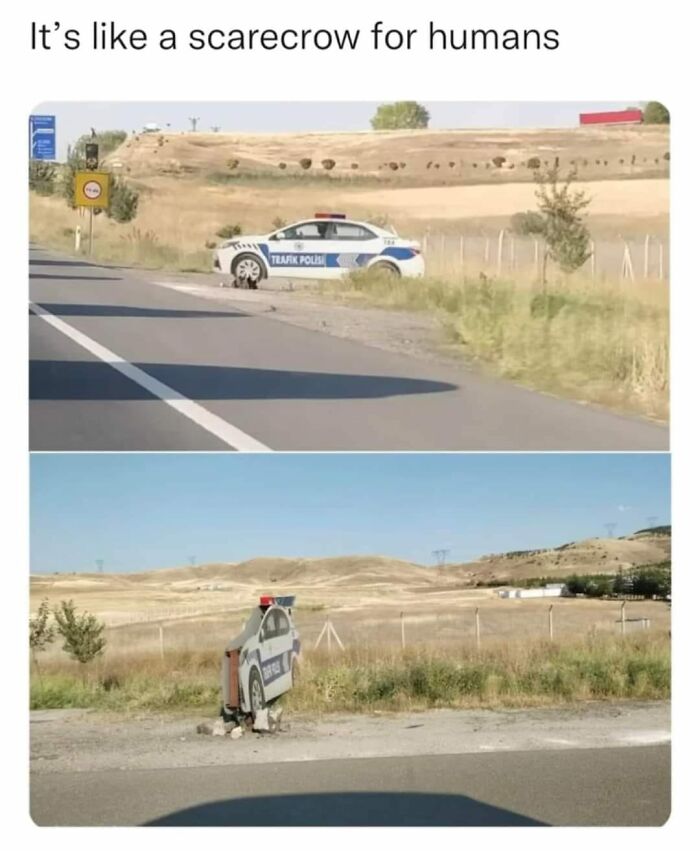 Police car and its cardboard cutout used to catch bad drivers on a rural road, illustrating funny examples from a Facebook group.