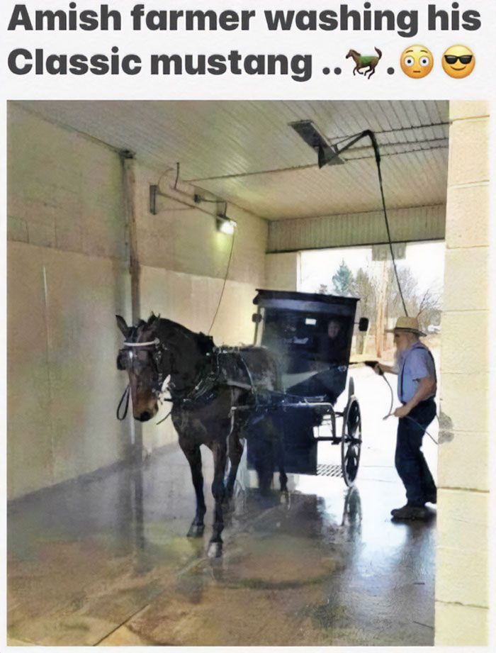 Amish farmer washing horse-drawn buggy, a humorous example shared in a group documenting bad drivers and funny posts.