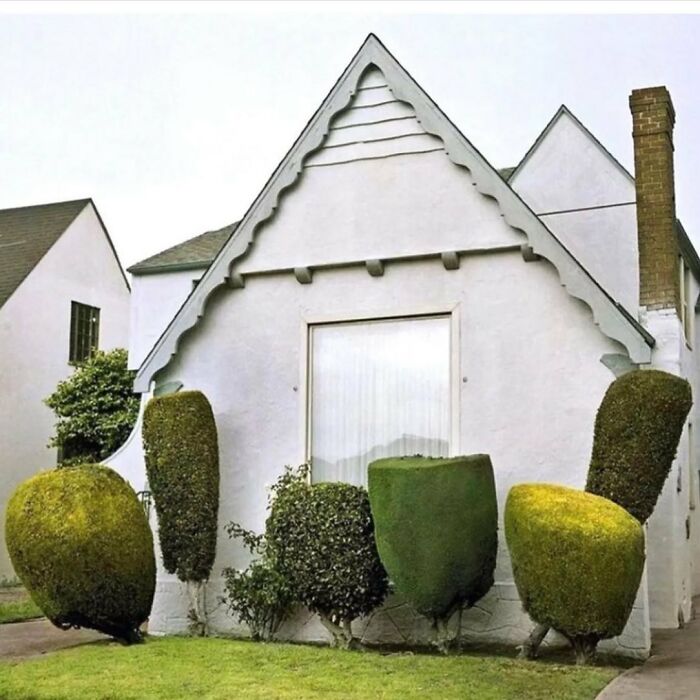 No sé por qué estos arbustos son tan inquietantes 