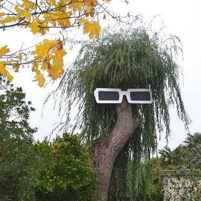  Rory, 26 años, siempre te debe dinero y usa pantalones cortos de fútbol todo el invierno 