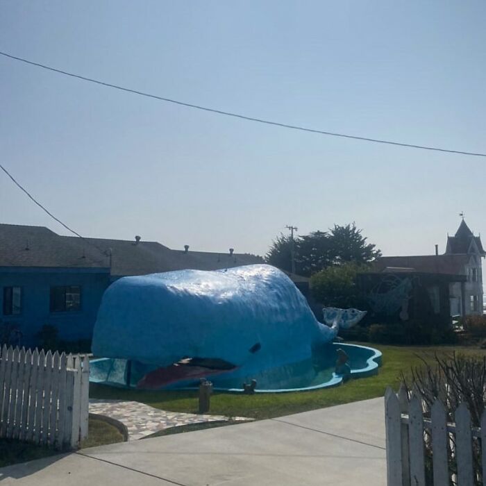 That’s A Pool Of Biblical Proportions