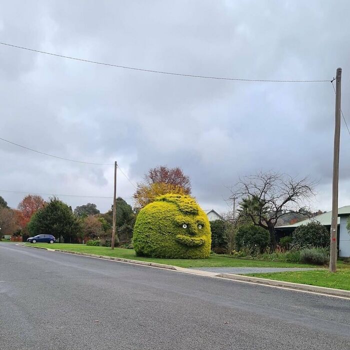 Me da miedo, mucho miedo 