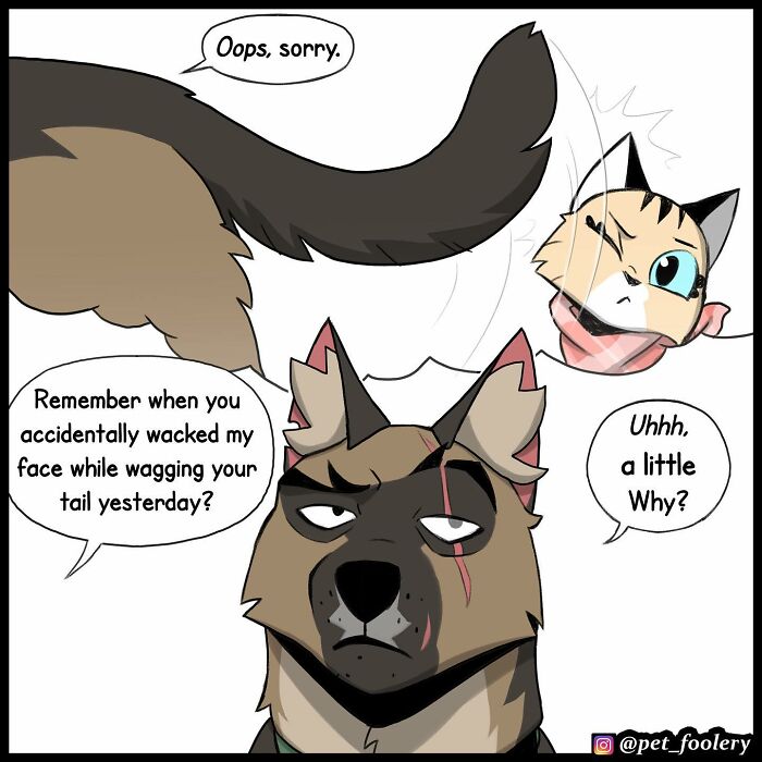 Artist Illustrates True Animal Friendship Between Pixie And Brutus, And Here Are 9 Of His Newest Comic Strips - 2