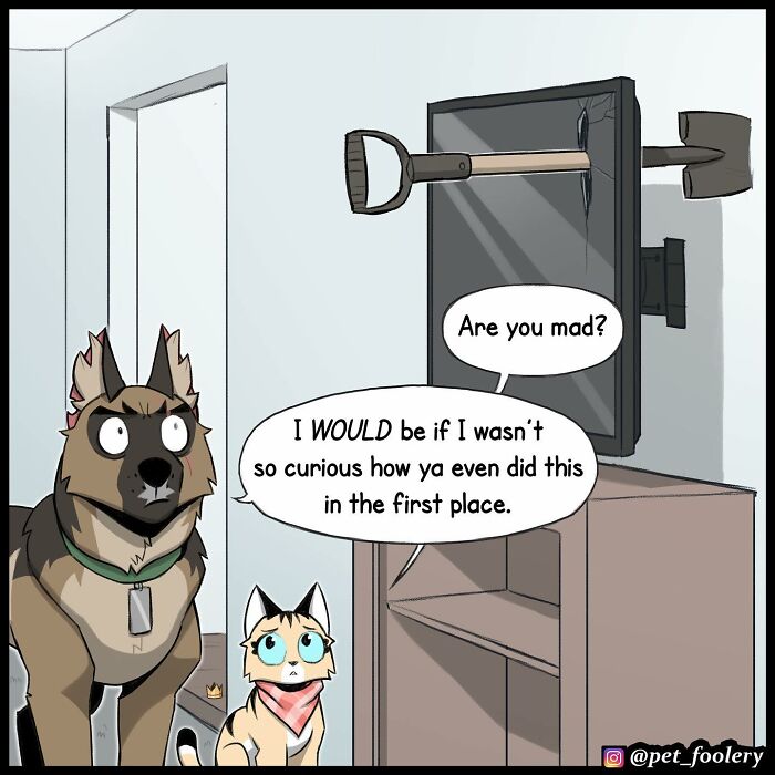 Artist Illustrates True Animal Friendship Between Pixie And Brutus, And Here Are 9 Of His Newest Comic Strips - 8