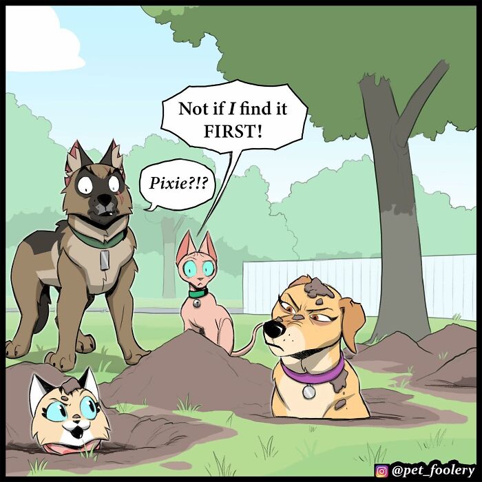 Artist Illustrates True Animal Friendship Between Pixie And Brutus, And Here Are 9 Of His Newest Comic Strips - 29