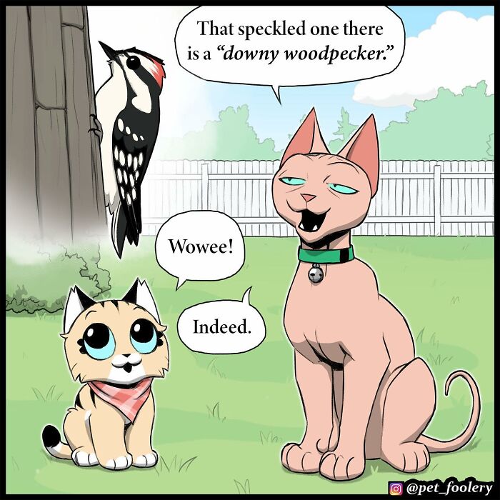 Artist Illustrates True Animal Friendship Between Pixie And Brutus, And Here Are 9 Of His Newest Comic Strips - 35