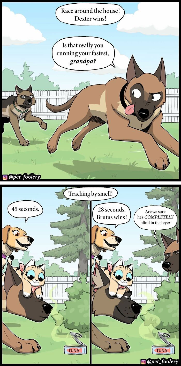 Artist Illustrates True Animal Friendship Between Pixie And Brutus, And Here Are 9 Of His Newest Comic Strips - 44