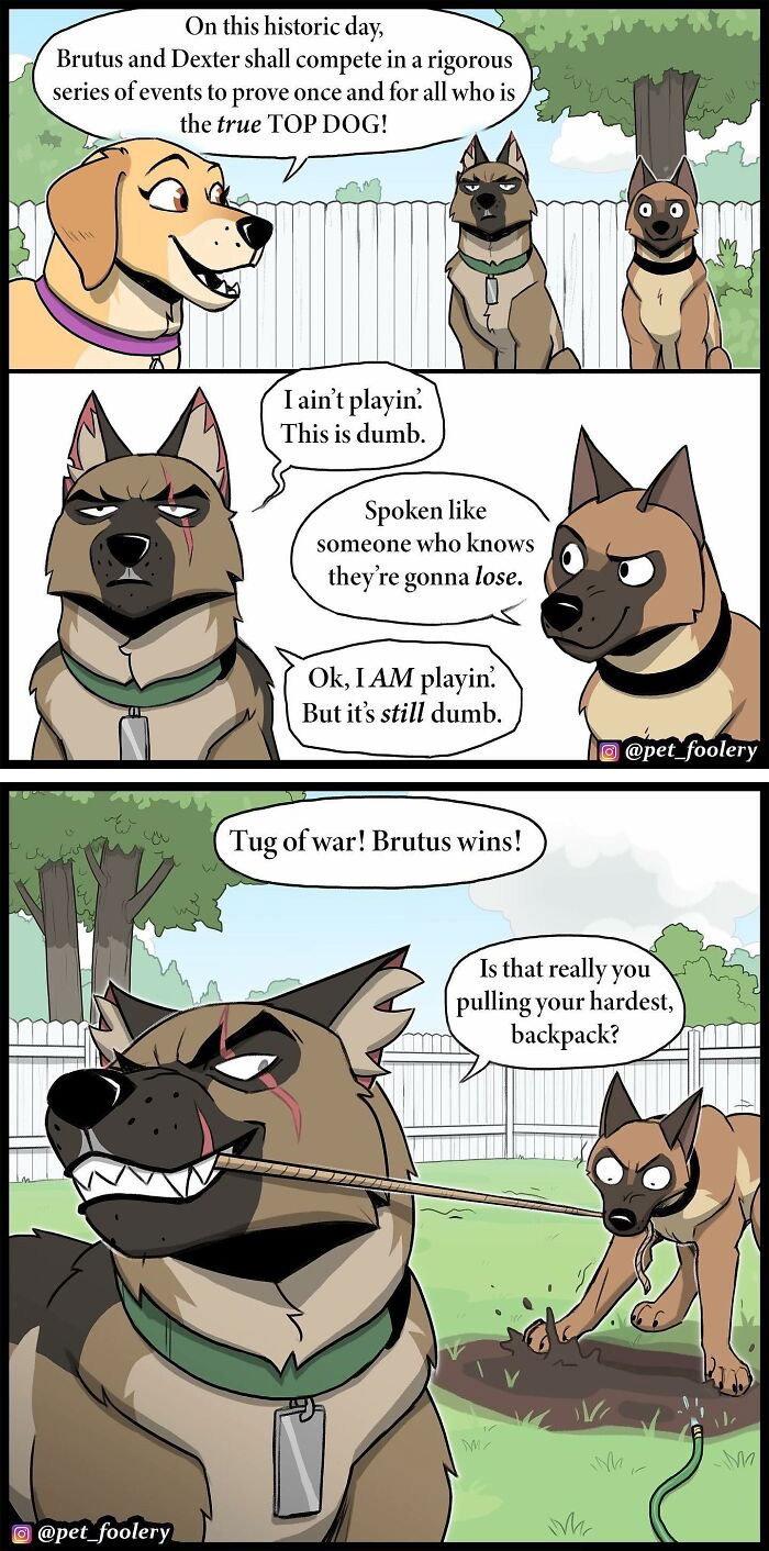 Artist Illustrates True Animal Friendship Between Pixie And Brutus, And Here Are 9 Of His Newest Comic Strips - 43
